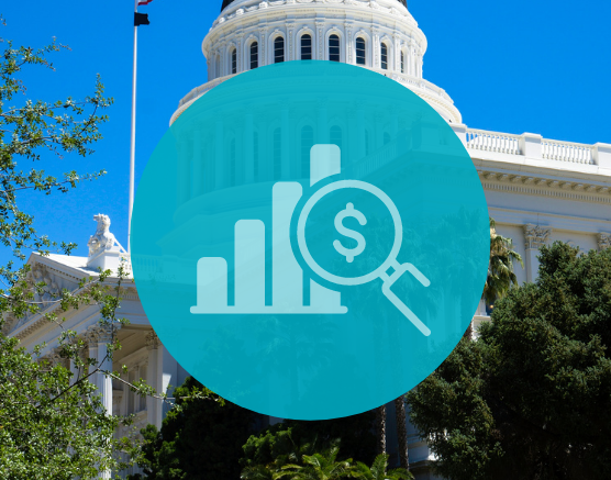 Pay Data Reporting Services